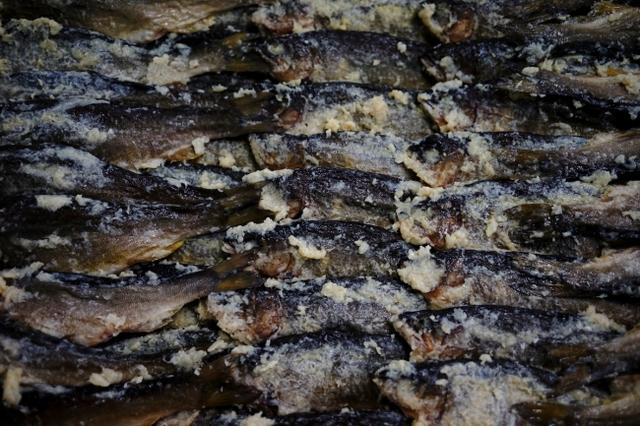 画像3: 2019年春、知られざる47都道府県のローカル発酵食品が渋谷ヒカリエに集結!『Fermentation Tourism Nippon』がサポーター募集をスタート