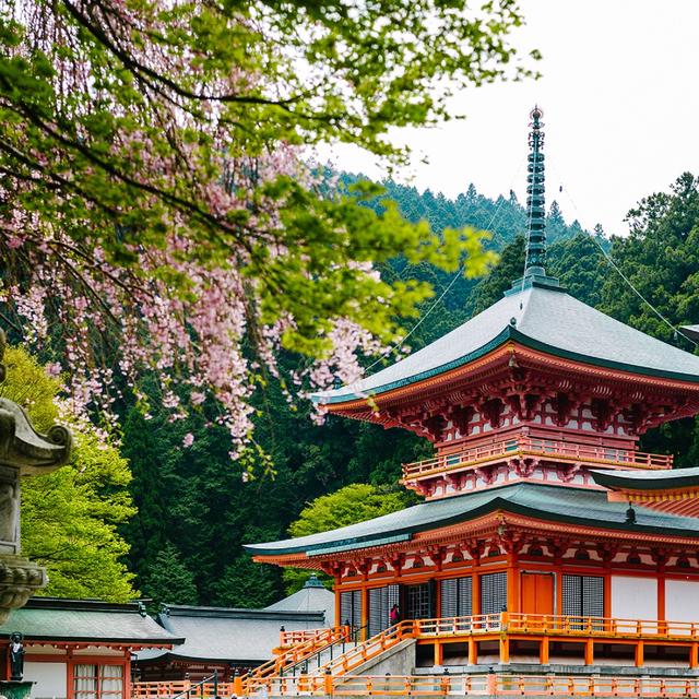 画像9: 【星野リゾート ロテルド比叡】春の京都・比叡山をおさんぽしながら楽しく厄払い「比叡山やくばらい散歩・春」
