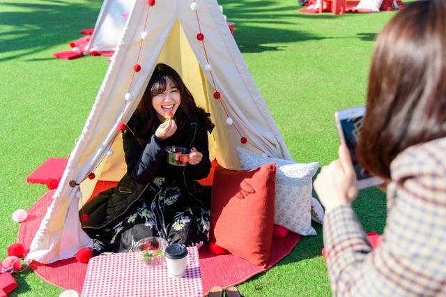画像1: 【期間限定】大人気!"GLAMPING CAFE 153 From SAGA"で佐賀の高級いちごを堪能しよう☆