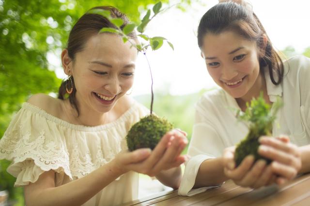 画像8: 4つの体験を通して苔の魅力を満喫できる宿泊プラン