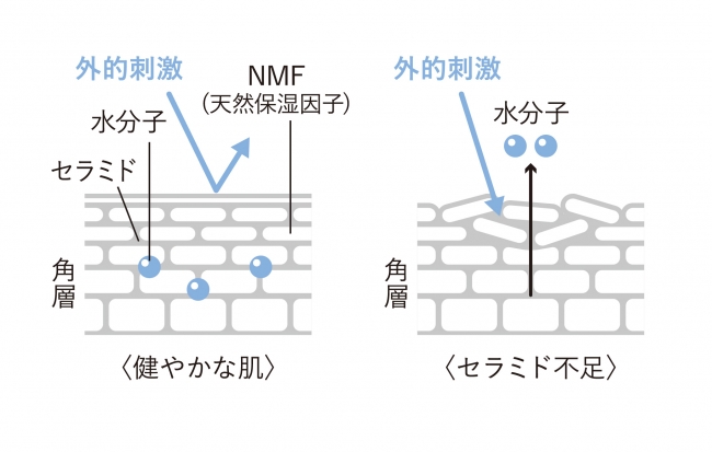 画像: 色々なシーンでうるおいチャージ