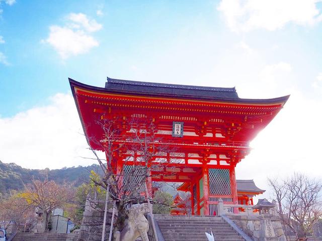画像: 世界遺産を守る「平成の大修理」の現場に迫る! 【貸切バスツアー】