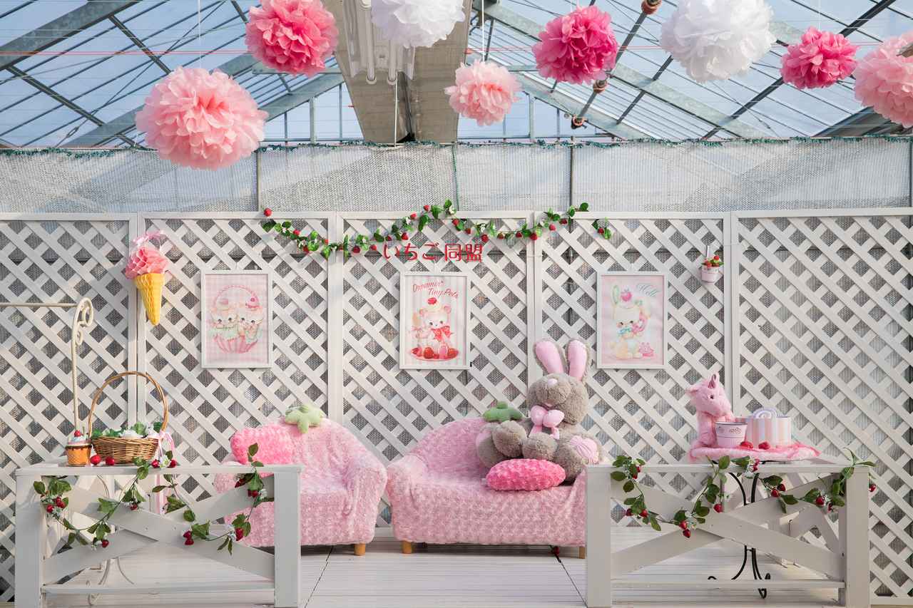 画像8: いちご狩りをしながらインスタ映え！「宮島るりかの可愛いいちご農園」