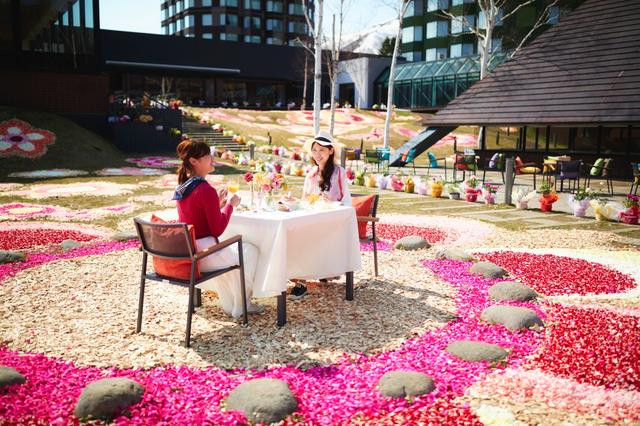 画像4: 1日中花に囲まれて過ごせる宿泊プラン「花咲くステイ」