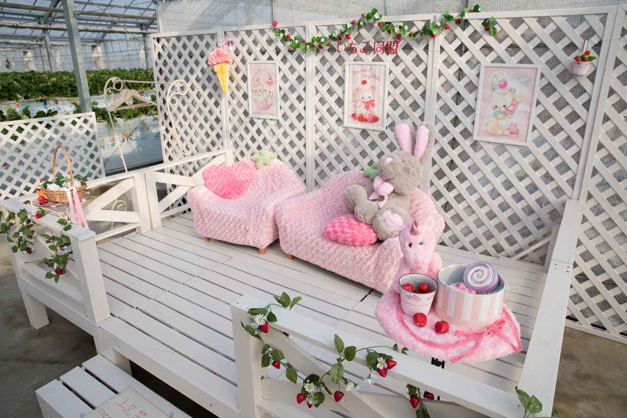 画像7: いちご狩りをしながらインスタ映え！「宮島るりかの可愛いいちご農園」