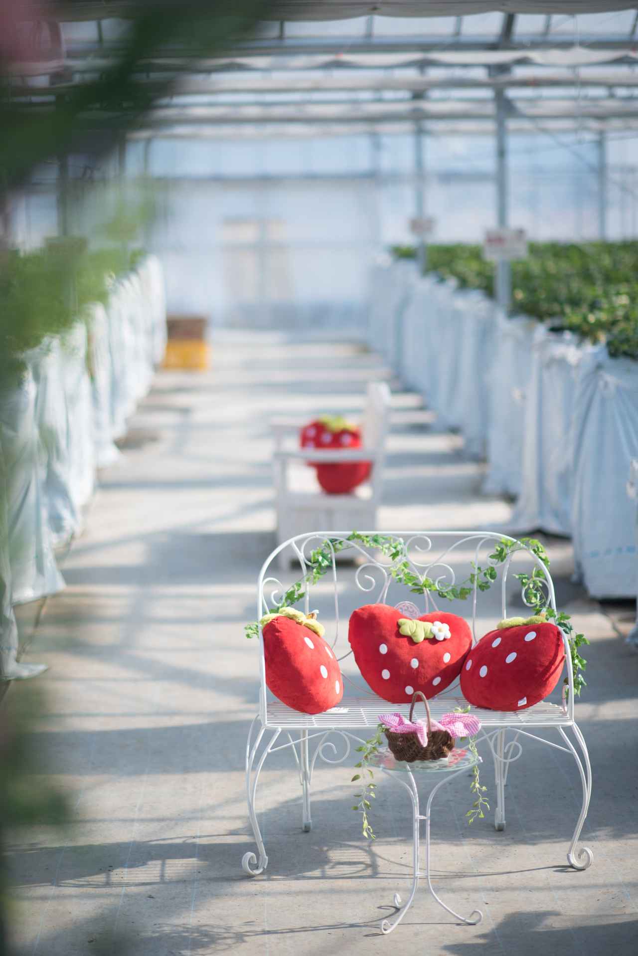 画像5: いちご狩りをしながらインスタ映え！「宮島るりかの可愛いいちご農園」