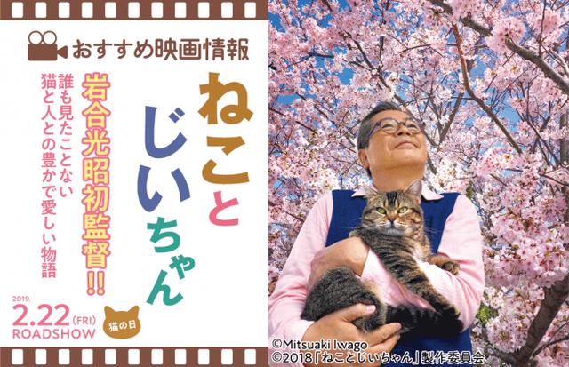 画像4: 「季節のねこクリアファイル」が貰える♪動物写真家の岩合光昭コラボグッズキャンペーンを開催!