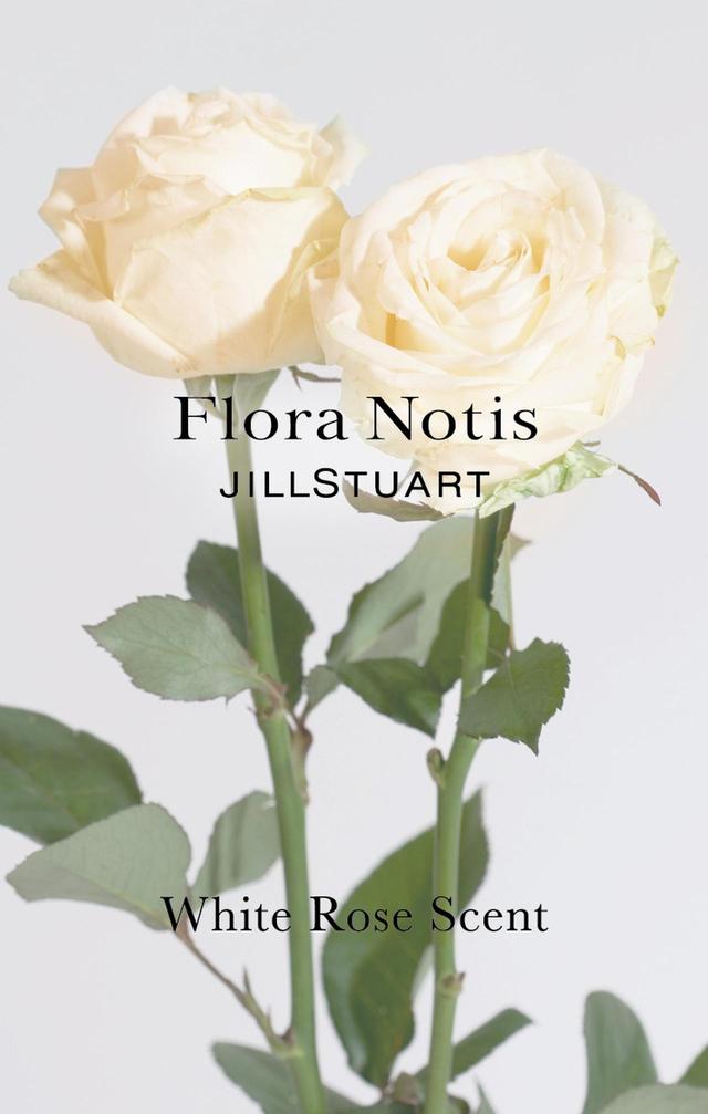 画像4: 今すぐ使えて、春先まで大活躍!Flora Notis JILL STUART が新たにリフレッシュアイテムを展開