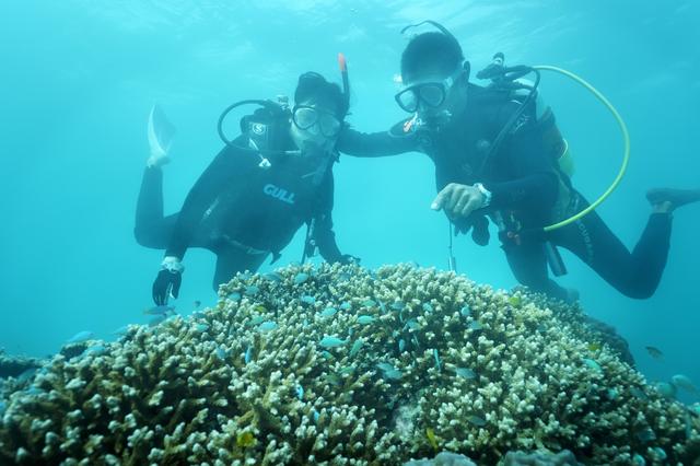 画像4: 【星のや竹富島】珊瑚礁が隆起してできた島で海の恵みに癒される 「珊瑚美ら(ちゅら)滞在」