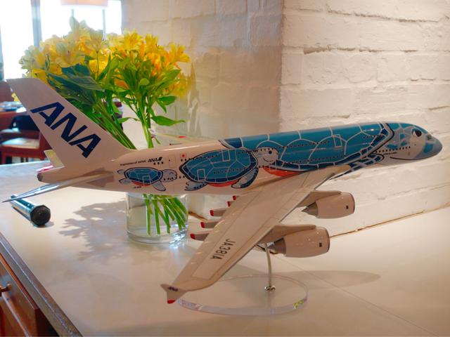 画像: 「空飛ぶウミガメ」という意味を持つ「FLYING HONU」 特別塗装機に乗ってハワイへ旅をされるお客様にも幸福が訪れるように願いが込められています。