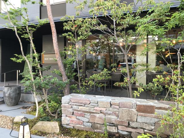 画像3: 秋だけでなく初夏もオススメな「高台寺」