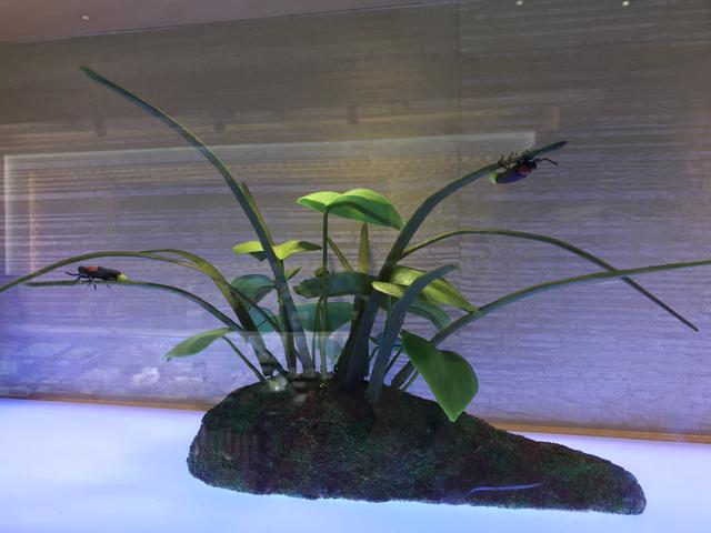 画像: 蛍が止まる姿を表現した伝統工芸菓子(1F)