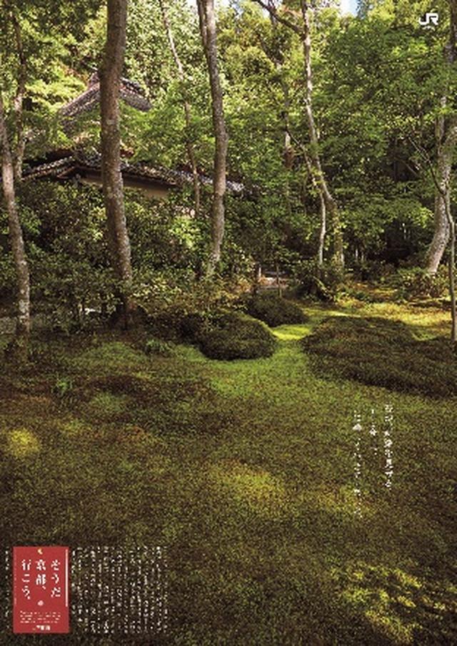 画像2: 祇王寺