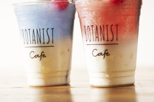 画像2: BOTANIST Tokyoに初の七夕メニューが登場!