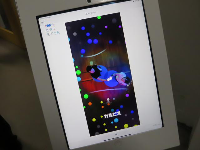 画像5: 光の川のイルミネーション dot river (ドットリバー)