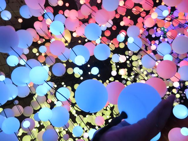 画像3: 光の川のイルミネーション dot river (ドットリバー)
