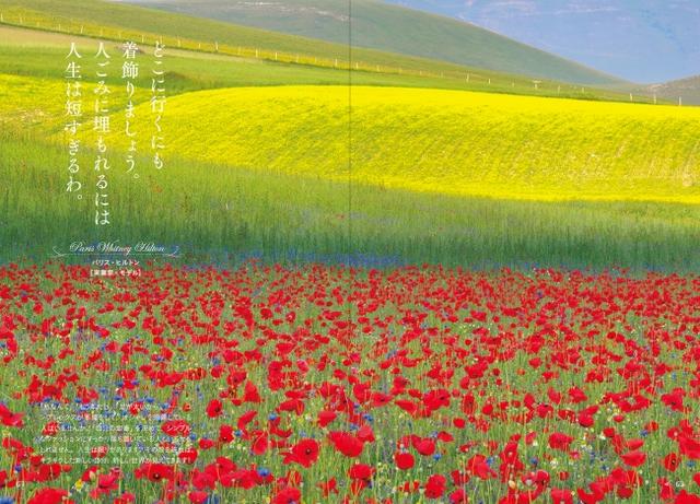 画像3: もっと人生を輝かせたい女性たちに贈る『人生を変える 輝く女性のことばと 夢を叶える絶景』発売!