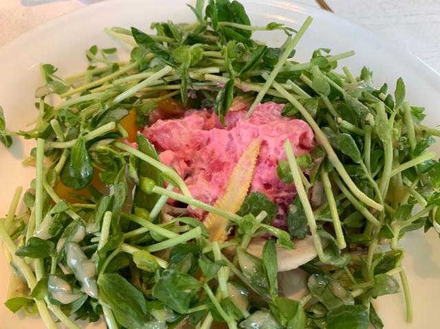 画像2: 豆苗は食べ放題!豚しゃぶと彩り野菜の豆苗サラダ~豆苗味噌ドレッシング~