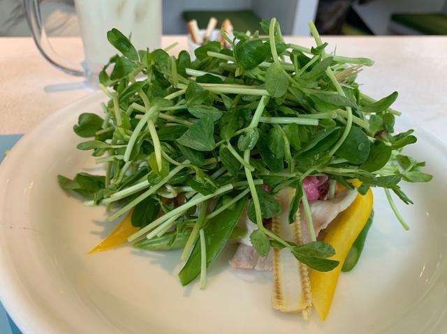 画像1: 豆苗は食べ放題!豚しゃぶと彩り野菜の豆苗サラダ~豆苗味噌ドレッシング~