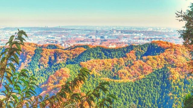 画像: 山の日にハイキングを楽しめる国内の旅行先7選