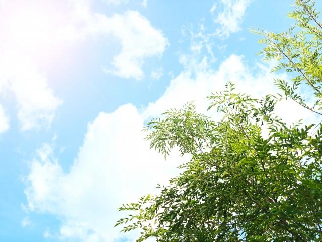 画像: 炎天下とムシムシした日は要注意