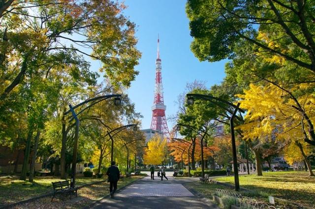 画像2: 東京初!1日限りの野外トランポリンフィットネス&トランポリンヨガイベント jump one×FIRSTSHIP Special Session「FUSION」開催!