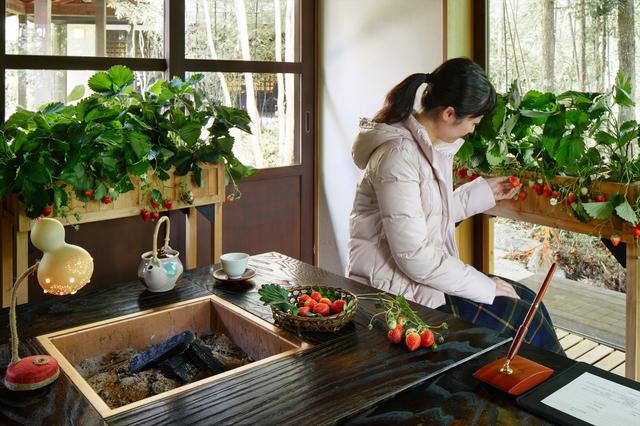 画像: 【星野リゾート】界 温泉旅館でいちごを存分に味わう「いちご滞在」登場!