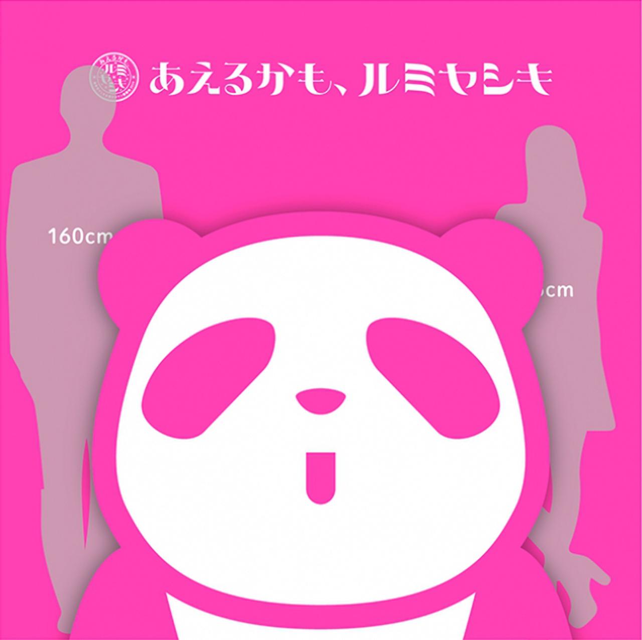 画像2: フォトパネル