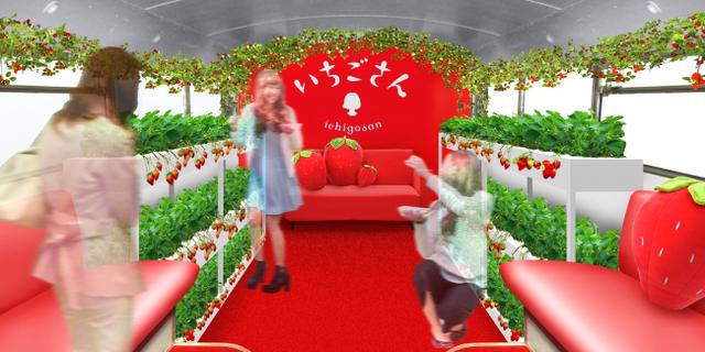 画像: バス内1階では、手軽に楽しめる「いちご狩り」体験を展開