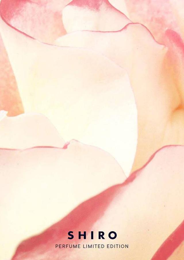 画像: PERFUME