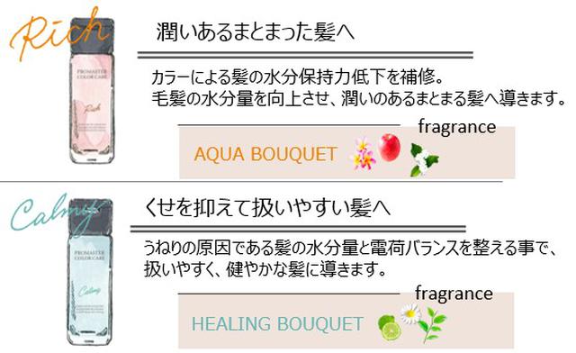 画像3: ヘアカラーした髪に特化したケアブランド「PROMASTER COLOR CARE」フルリニューアル
