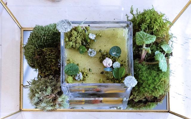 画像: 『L’atelier à ma façon(ラトリエ ア マ ファソン)』からは〈Giverny〉ジヴェルニー。モネが晩年過ごした自宅池とその睡蓮を模したパフェ。