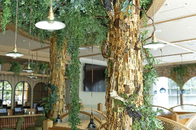画像2: 【試食レポ】プラントベース(植物由来)100%メニュー!地球とくつろぐ喫茶店『KOMEDA is □ 東銀座店』がオープン♡