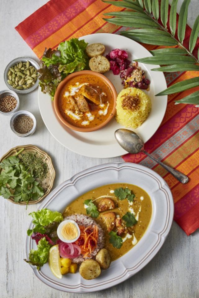画像9: AIR SPICEが監修する本格バターチキンカレー登場!