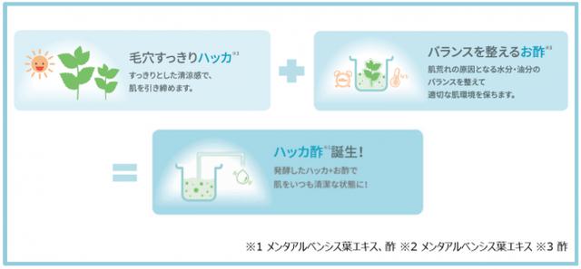 画像1: Wonder Pore Series『ワンダーPシリーズ』