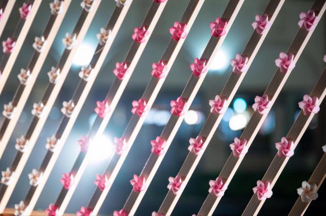 画像3: 真夏の桜が、失われた春を取り戻す約20メートル!5,000個の桜かざぐるまが並ぶ「SAKURA KAZAGURUMA-WALL」那須ガーデンアウトレットに期間限定で登場!