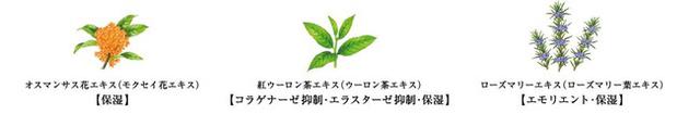 画像: ●主な植物成分 <参考資料> ※ハンドクリームのみ