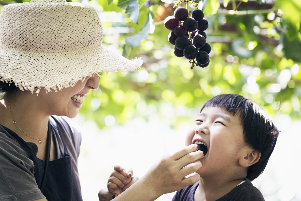 画像1: 秋の連休や休暇にぴったりなホテル近隣で楽しめるアクティビティ