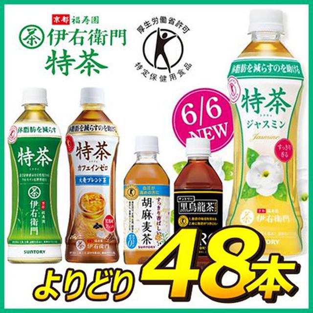 画像1: 【3位】伊右衛門 特茶 500ml 48本