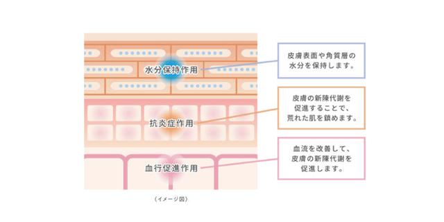 画像3: 乾燥荒れ肌に 泡の治療薬 “ヘパフォーム” 誕生