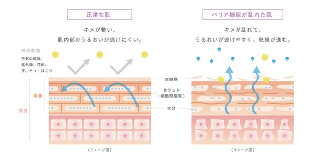 画像2: 乾燥荒れ肌に 泡の治療薬 “ヘパフォーム” 誕生