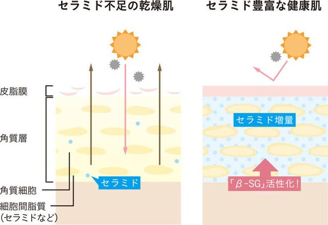 画像3: 日本の伝統的な美肌成分『糀』に着目した発酵スキンケア