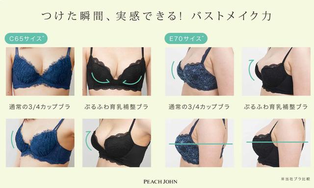 画像3: 着けるだけで美しく見せる!バストの土台に着目したブラ