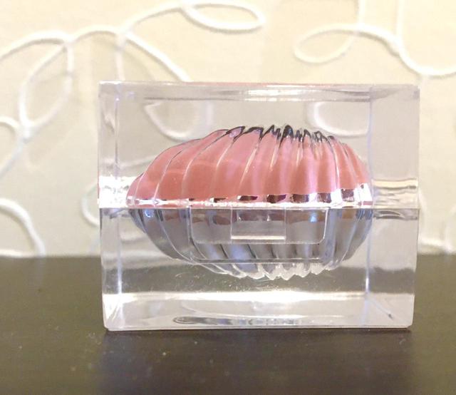 画像7: 【使用レポ】SNSで話題沸騰!パケ買い続出のハイライト&チーク、GUICAMI「small shell」