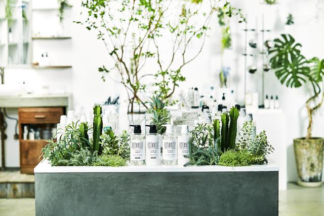 画像: BOTANIST ボタニカルウィンターコフレ