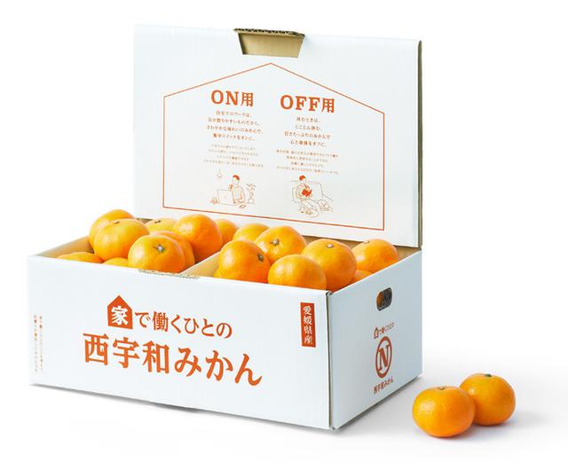 画像: テレワーカー向け「家で働くひとの西宇和みかん」 3kg 4,500円(税・送料込)