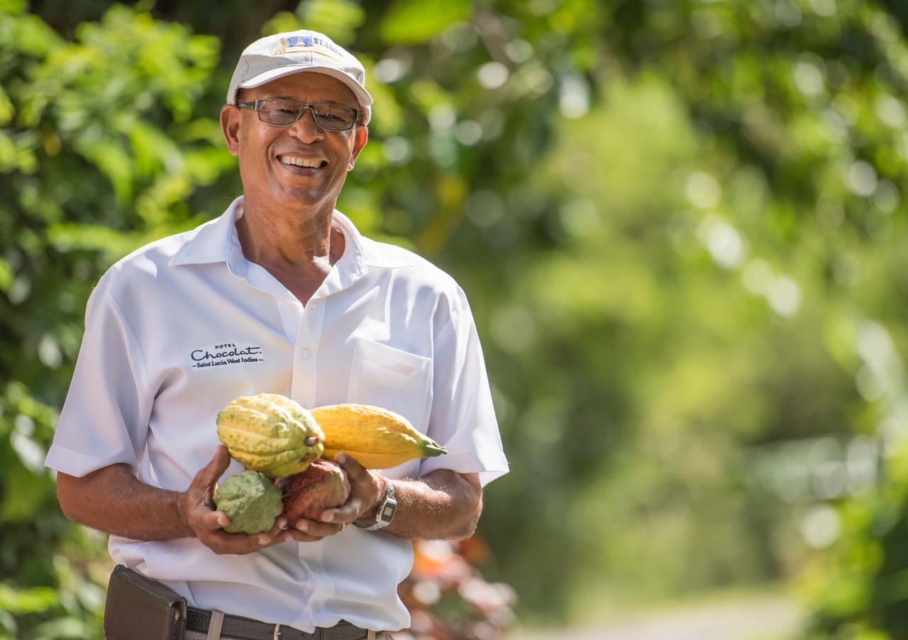 画像: ホテルショコラとは