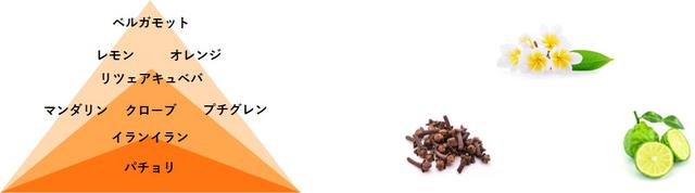 画像: さ