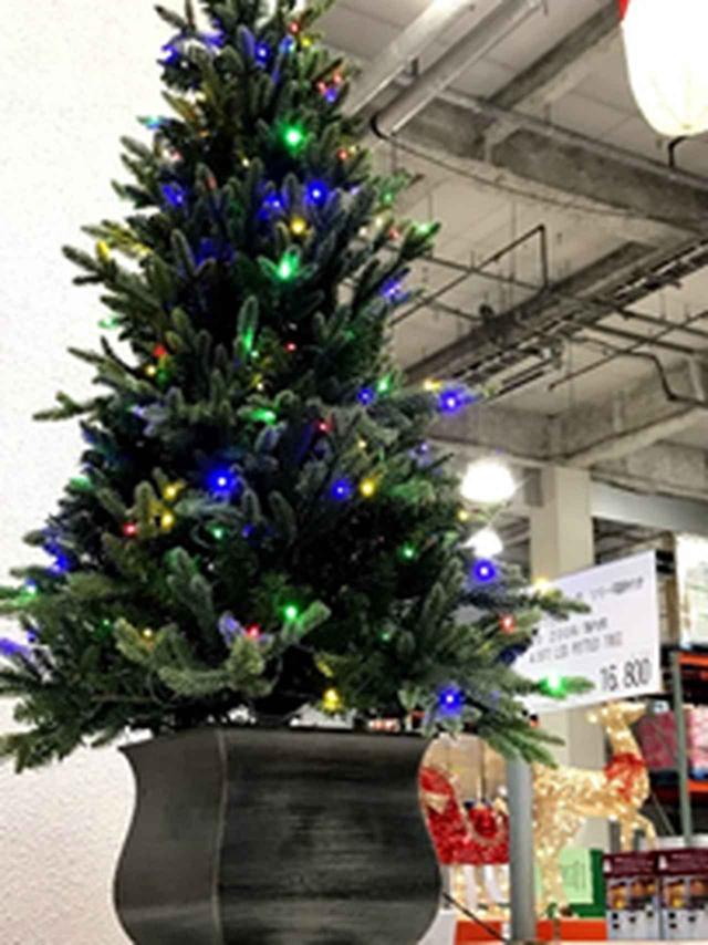 画像6: 【クリスマスシーズン必見】コストコに行くときこそ、カーシェアがおすすめ!?
