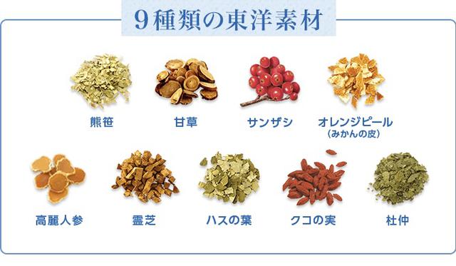 画像2: 【試飲レポ】肌の潤いを守るヒアルロン酸を機能性関与成分として配合した「からだ巡茶 モイスティア」発売!